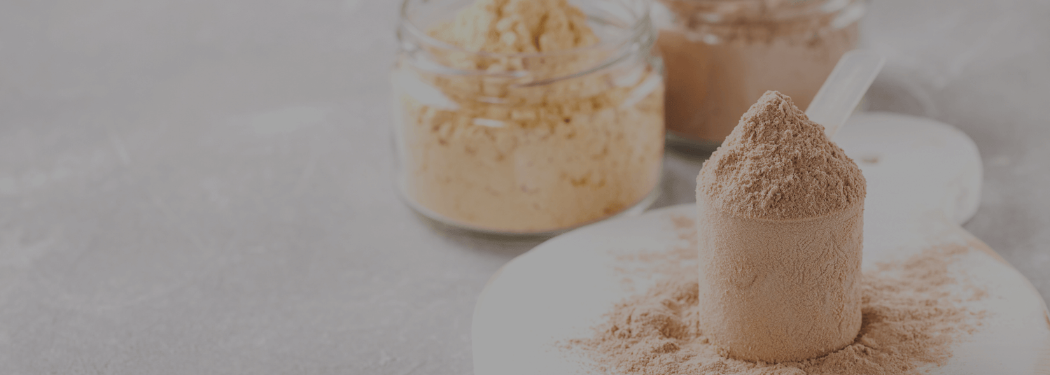 eiwit poeder energeticx blog whey erwten caseine haver hennep eiwit