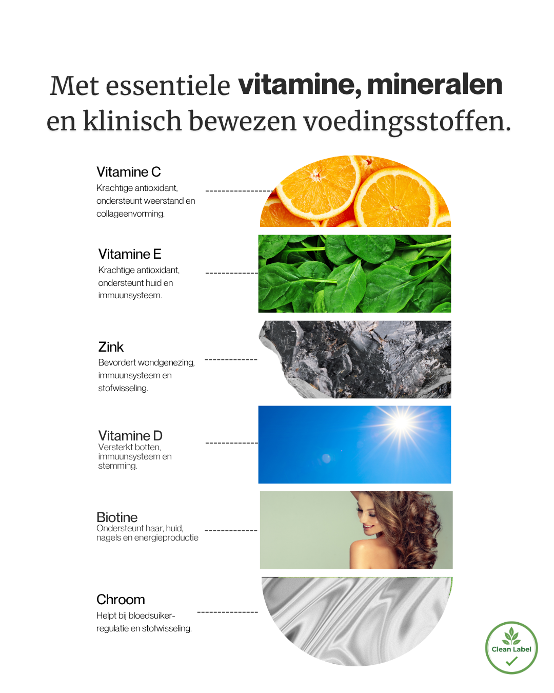 Dagelijkse_Vitamineboost_-_Multivitamine_-_Complete_ondersteuning_inhoud