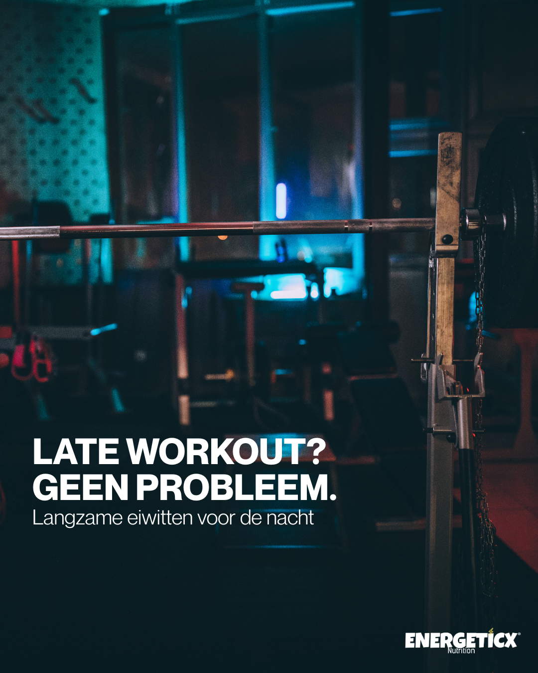 Night Protein