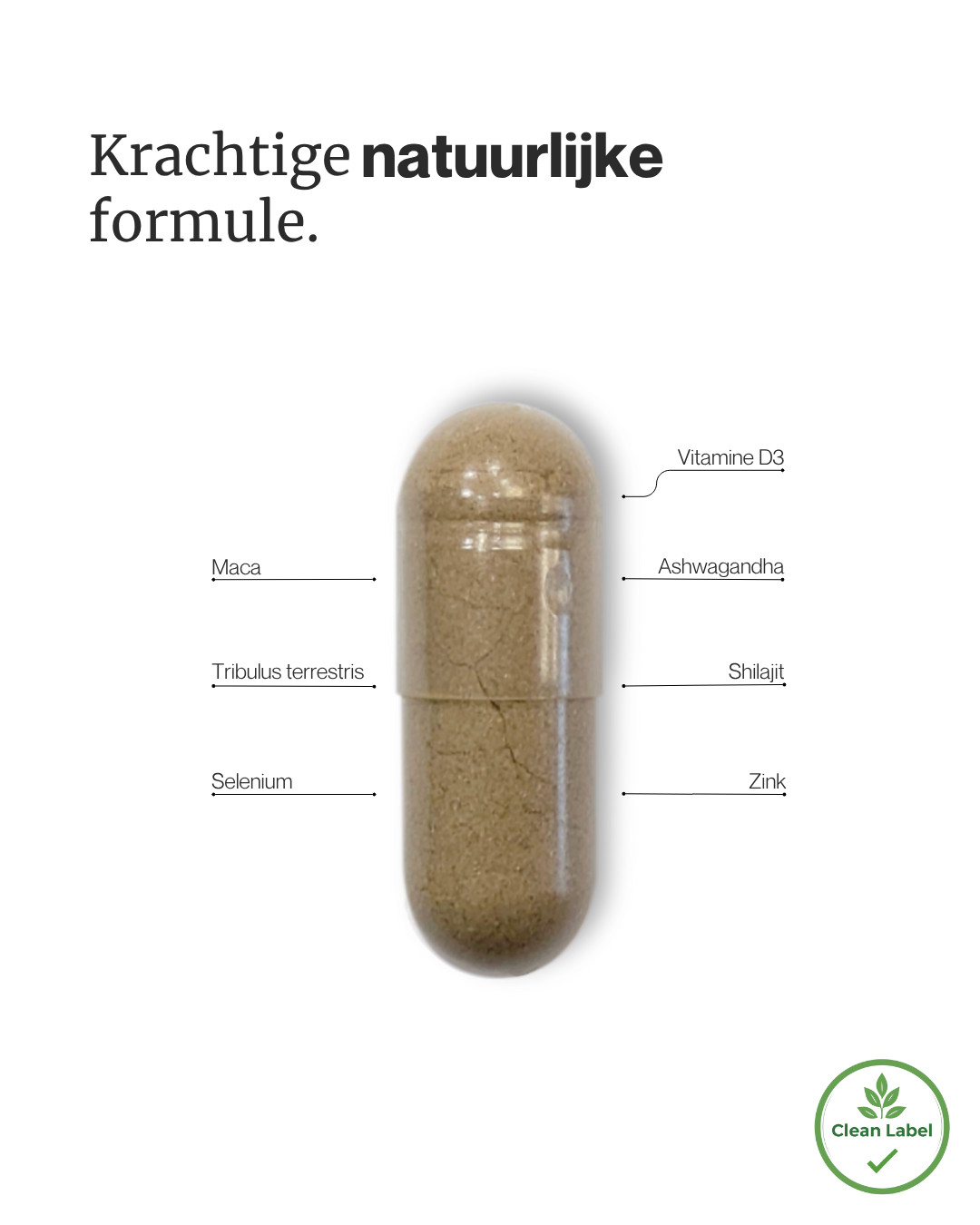 Close-up of VitalMan Plus ingredients: ashwagandha root, maca, zinc, and vitamin D3
