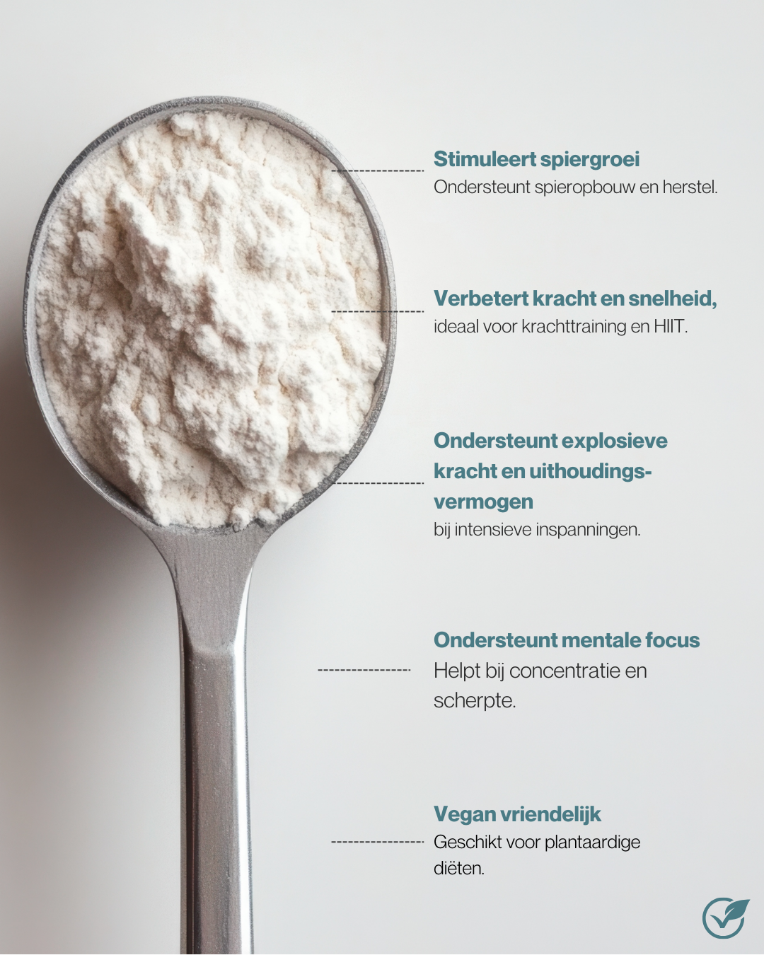 core creatine monohydraat 100% puur energeticx 60 porties 300 gram
voordelen