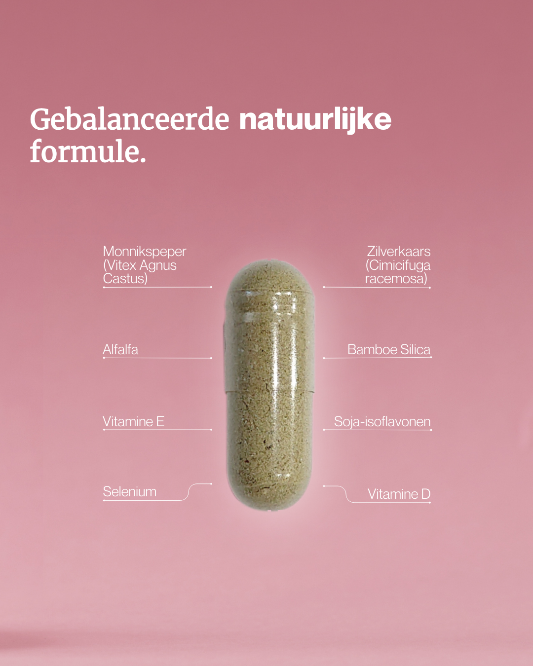 MenoBalance