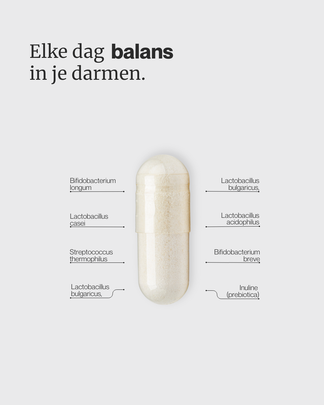 probiotica energeticx balans in je darmen 1