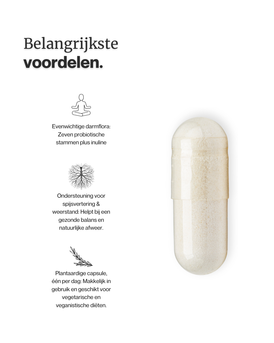 probiotica energeticx balans in je darmen 2
