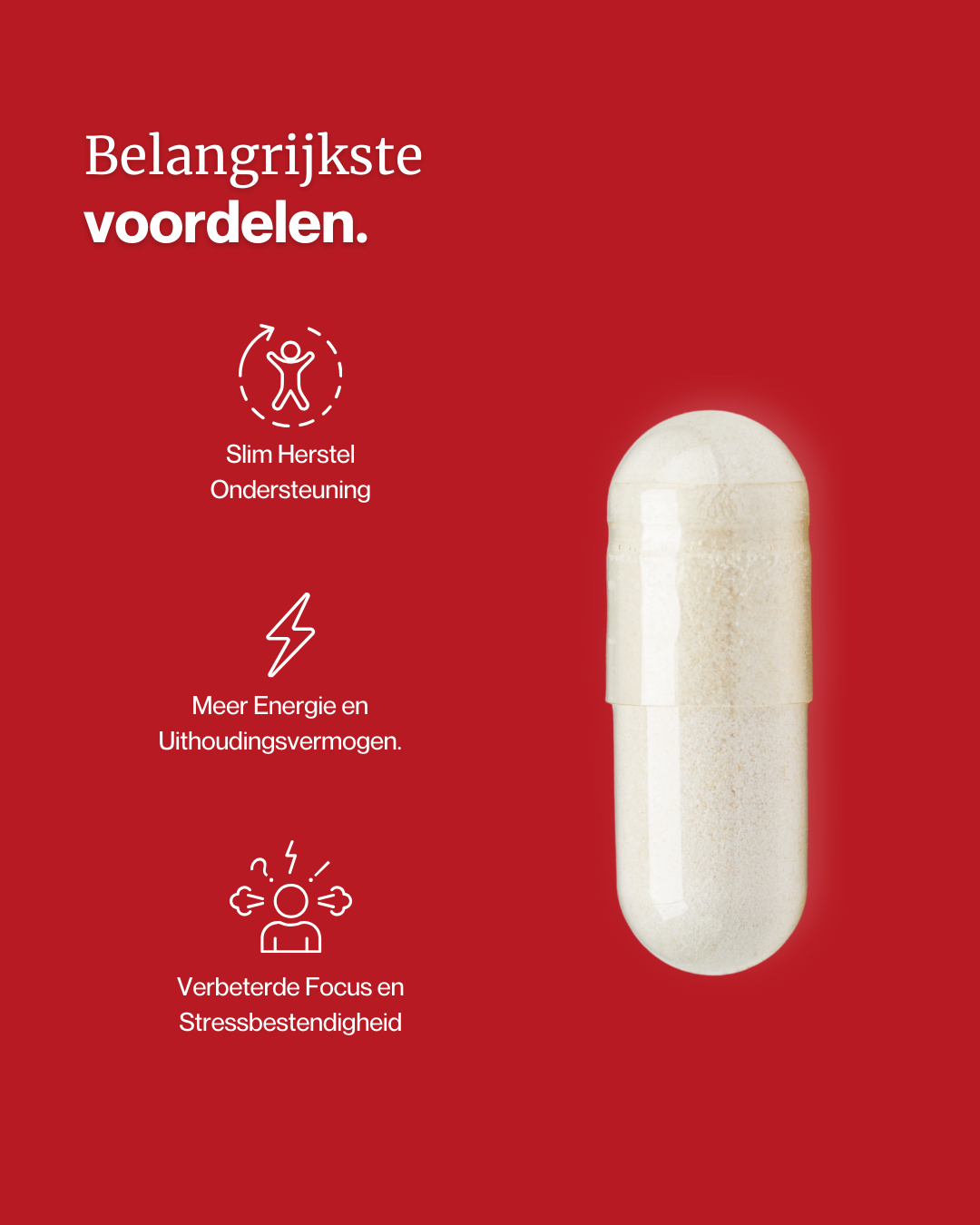 Stoffwechselunterstützung