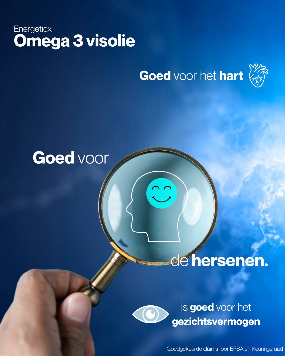 omega 3 energeticx Ondersteunt hart, hersenen & immuunsysteem